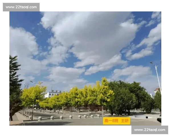 光影定格青春校园摄影比赛展现时代风采与学子梦想创新文化魅力精神